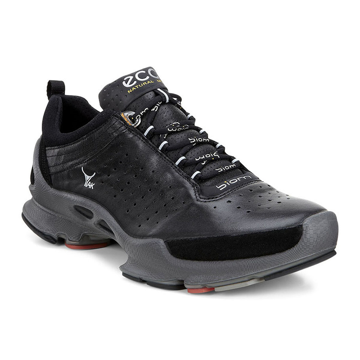 Кроссовки ECCO BIOM C M 091504/58029