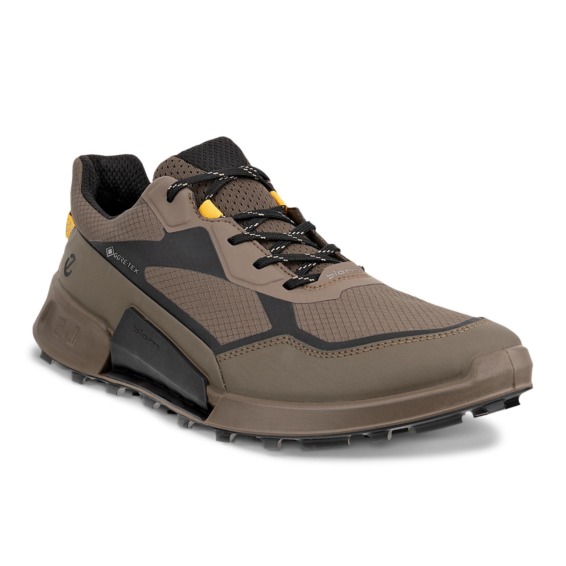 Кроссовки ECCO BIOM 2.1 X MOUNTAIN M 823924/61293