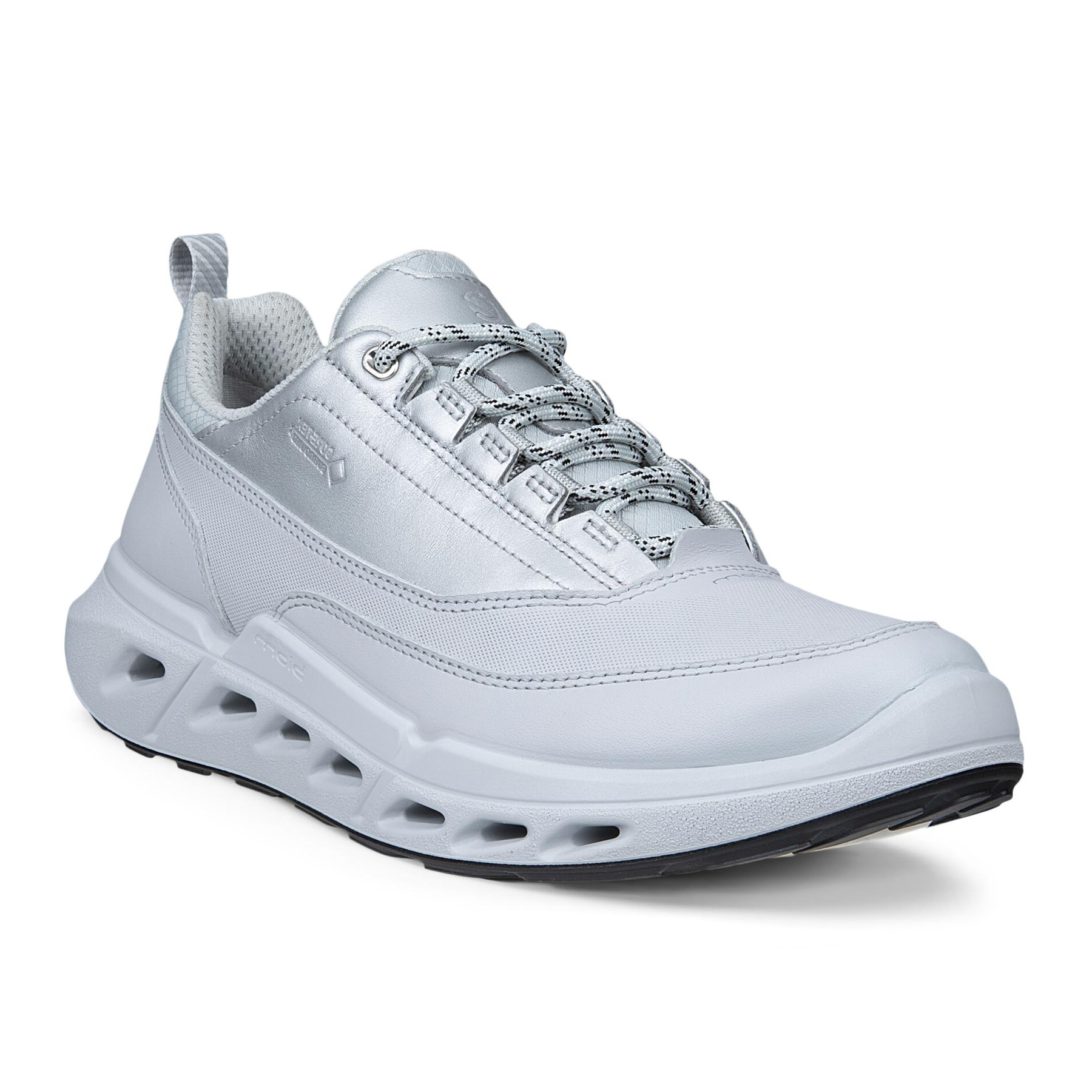 Кроссовки ECCO BIOM 720 W 850303/61795