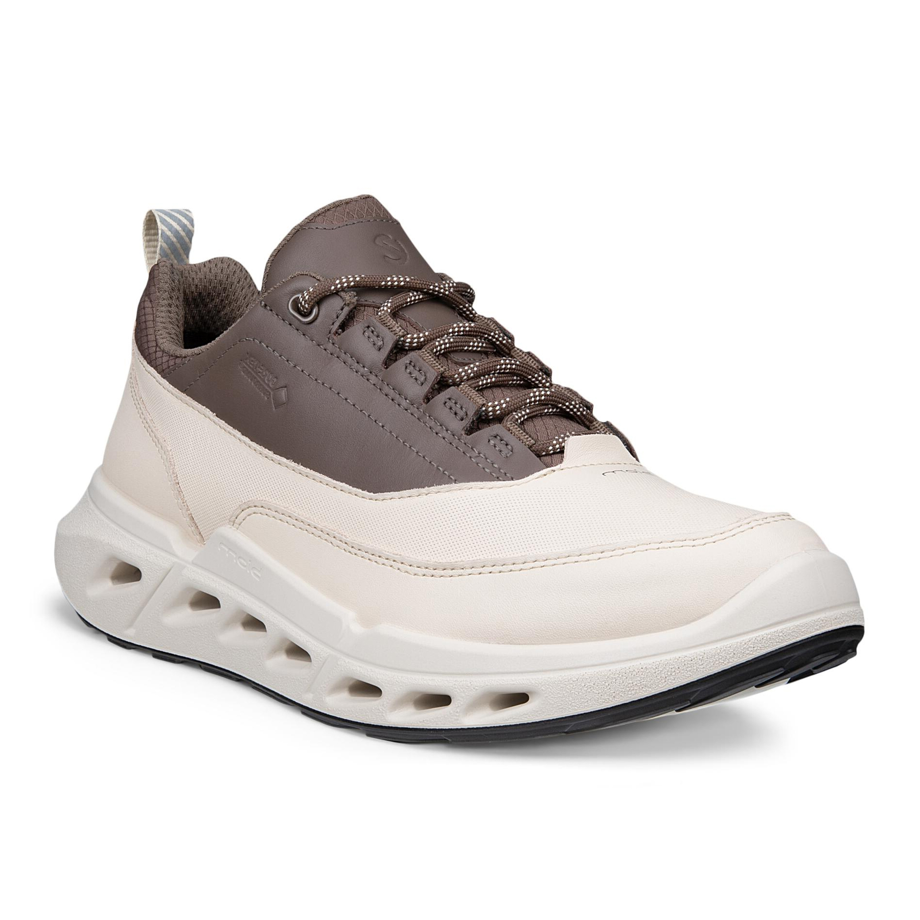 Кроссовки ECCO BIOM 720 W 850303/61956