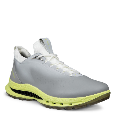 Кроссовки M GOLF BIOM C5 132604/55915