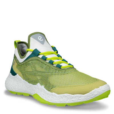 Кроссовки M GOLF BIOM H5 138004/61599