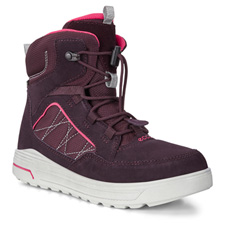 Ботинки ECCO URBAN SNOWBOARDER 722313/51641