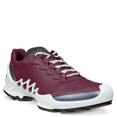 Кроссовки ECCO BIOM AEX W 802873/61798