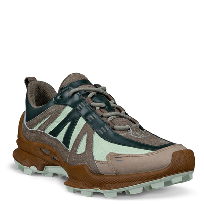 Кроссовки ECCO BIOM C-TRAIL W 803443/61317