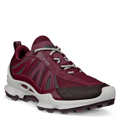 Кроссовки ECCO BIOM C-TRAIL W 803463/61424