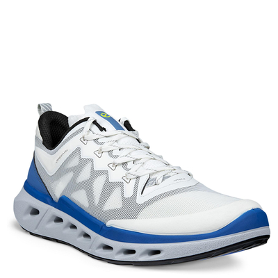 Кроссовки ECCO BIOM 720 M 850314/61647
