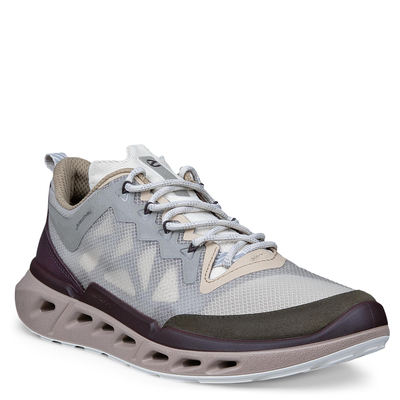 Кроссовки ECCO BIOM 720 W 850373/61754