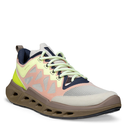 Кроссовки ECCO BIOM 720 W 850373/61756