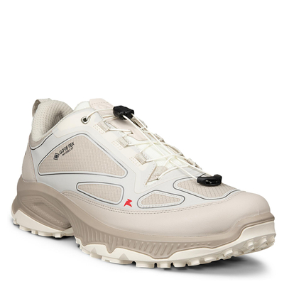 Кроссовки ECCO RECEPTOR XP M 854334/62038