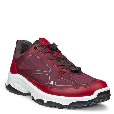 Кроссовки RECEPTOR XP W 854343/61965