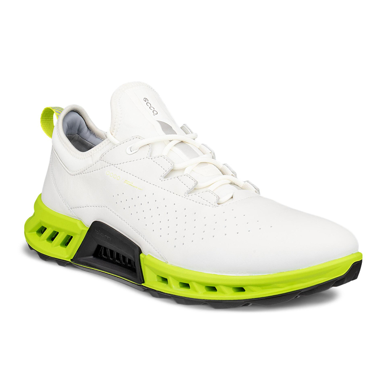 Кроссовки M GOLF BIOM C4