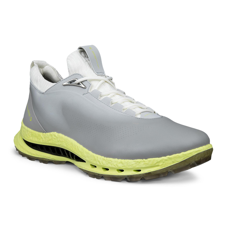 Кроссовки M GOLF BIOM C5