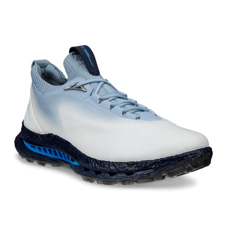 Кроссовки M GOLF BIOM C5