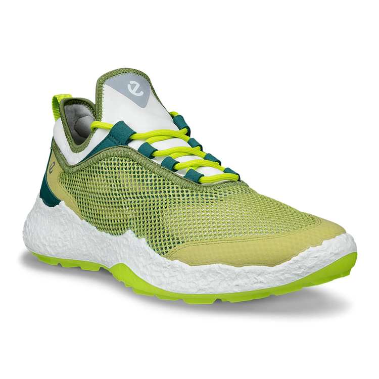 Кроссовки M GOLF BIOM H5