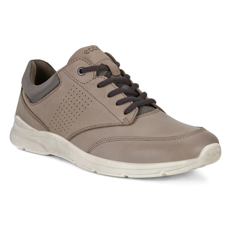 Кроссовки ECCO IRVING 511624/02559