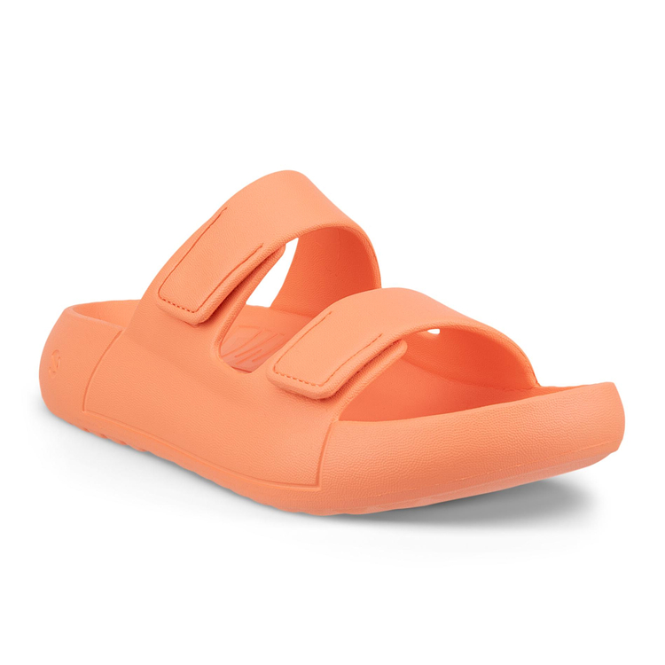 Шлепанцы ECCO COZMO E