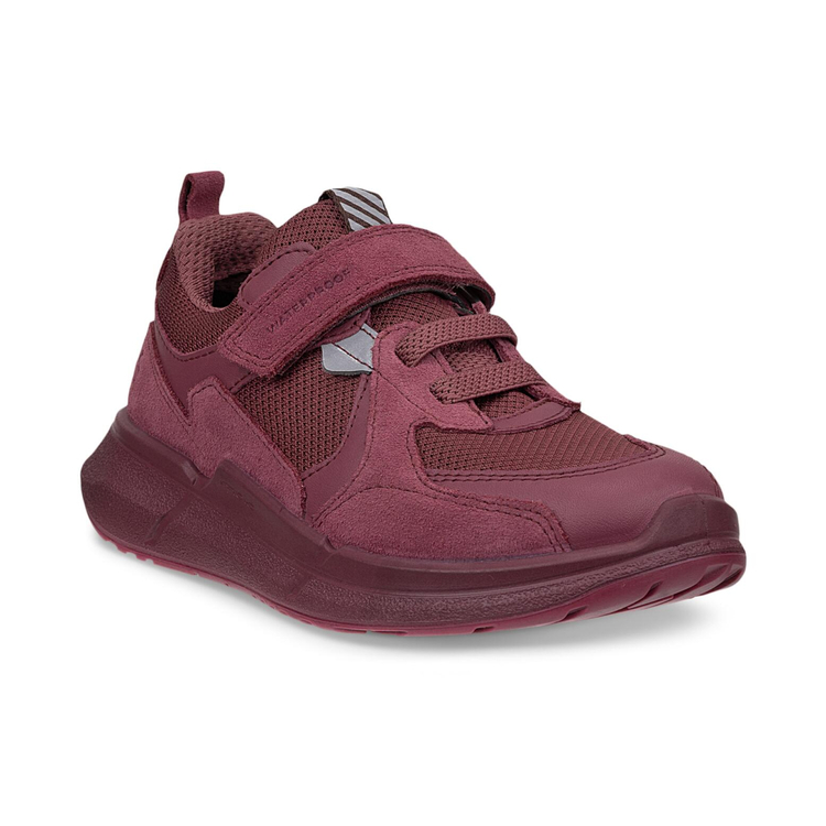Кроссовки ECCO BIOM 2.2 K