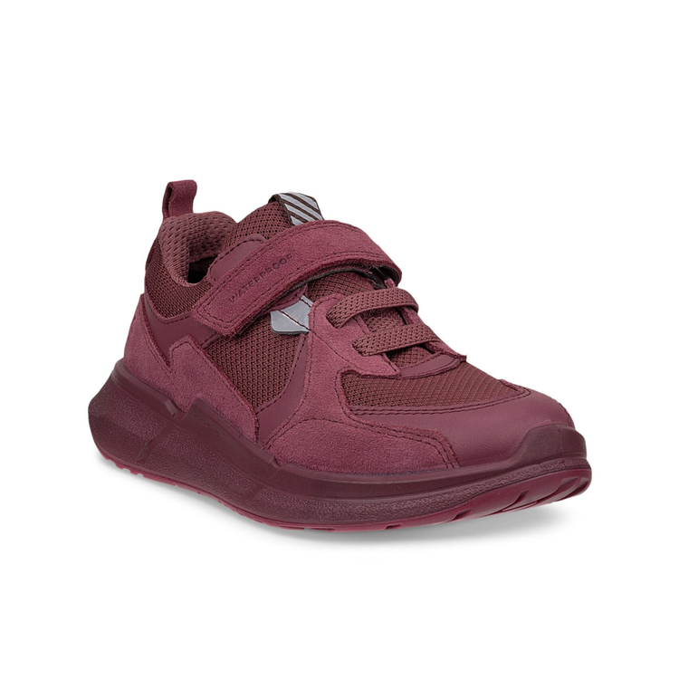 Кроссовки ECCO BIOM 2.2 K