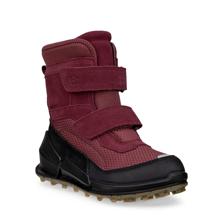 Ботинки ECCO BIOM K2
