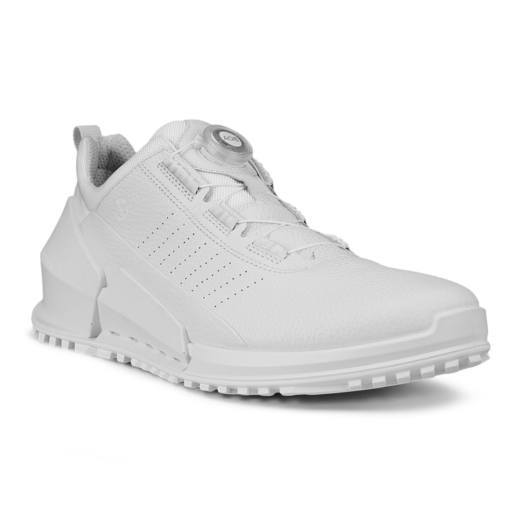 Кроссовки ECCO BIOM 2.0 M