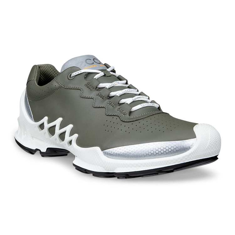 Кроссовки BIOM AEX M