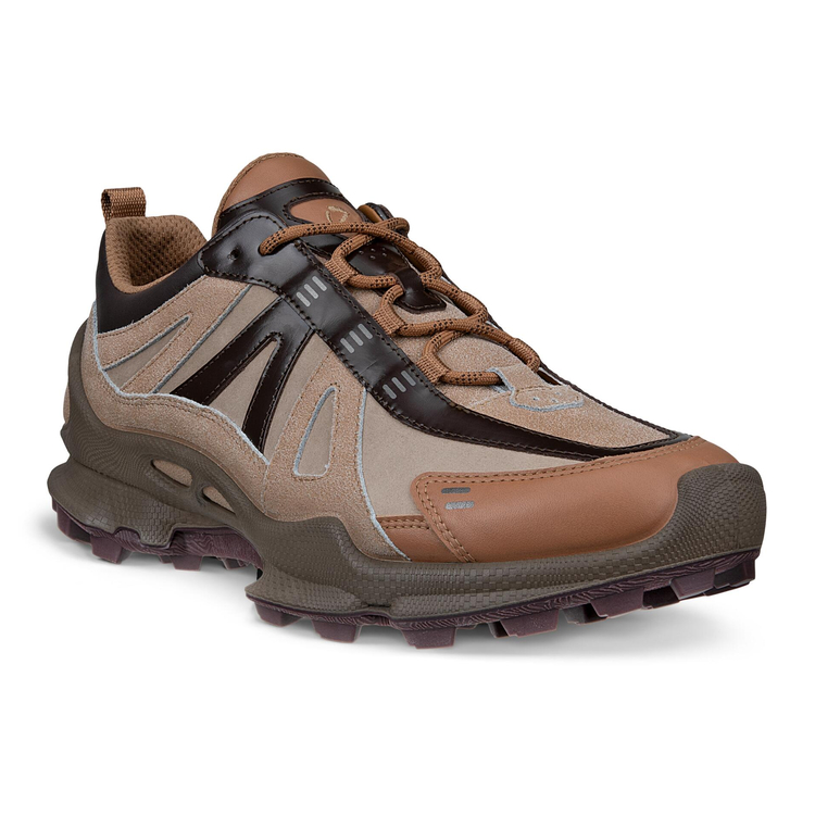 Кроссовки ECCO BIOM C-TRAIL M 803434/61314