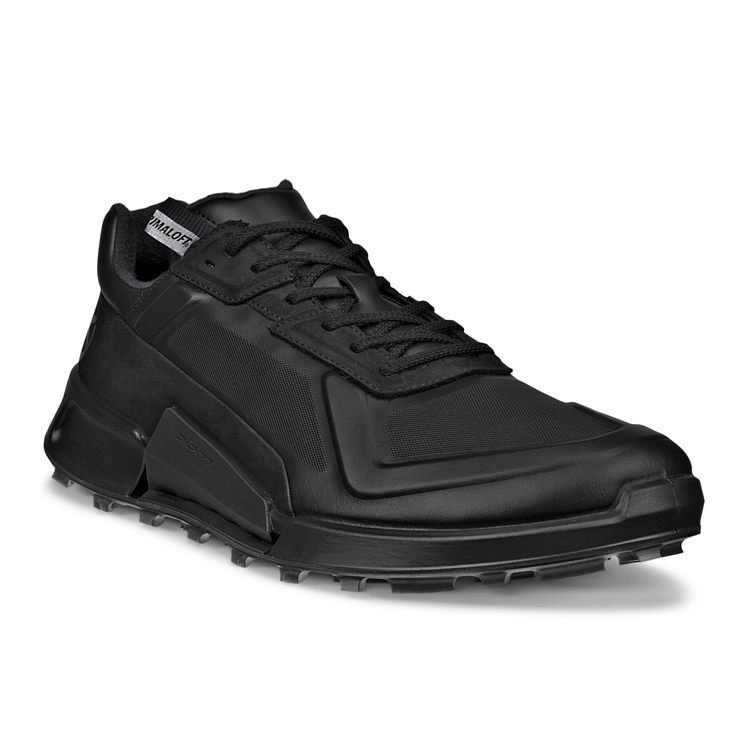 Кроссовки ECCO BIOM 2.1 X MOUNTAIN M