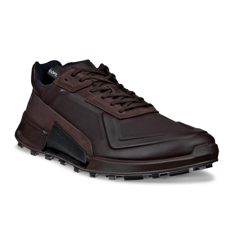 Кроссовки ECCO BIOM 2.1 X MOUNTAIN M