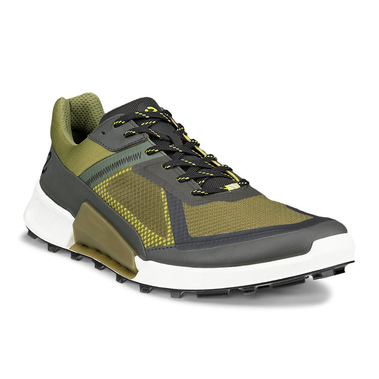 Кроссовки ECCO BIOM 2.1 X MOUNTAIN M