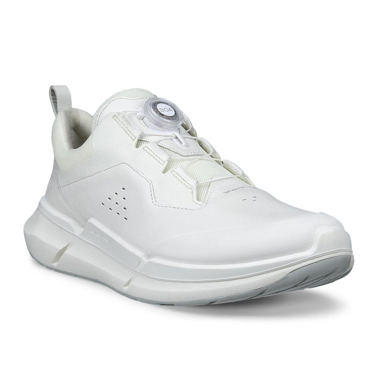 Кроссовки ECCO BIOM 2.2 W