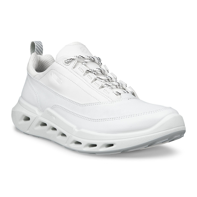 Кроссовки BIOM 720 W