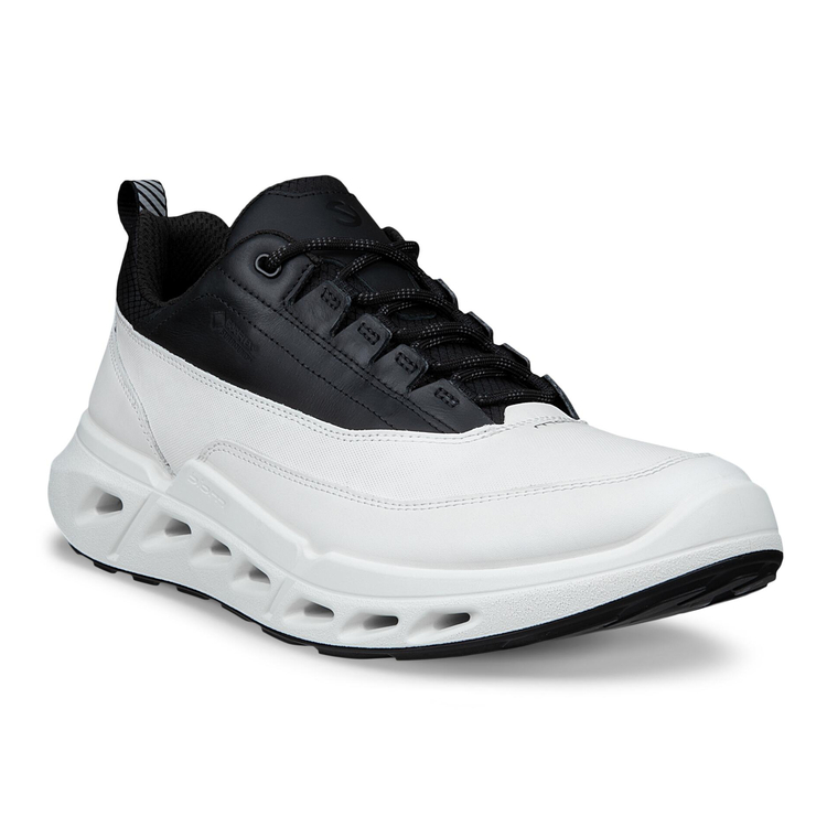 Кроссовки BIOM 720 M