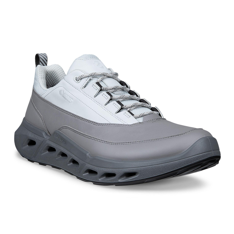 Кроссовки BIOM 720 M