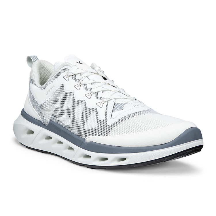 Кроссовки BIOM 720 M