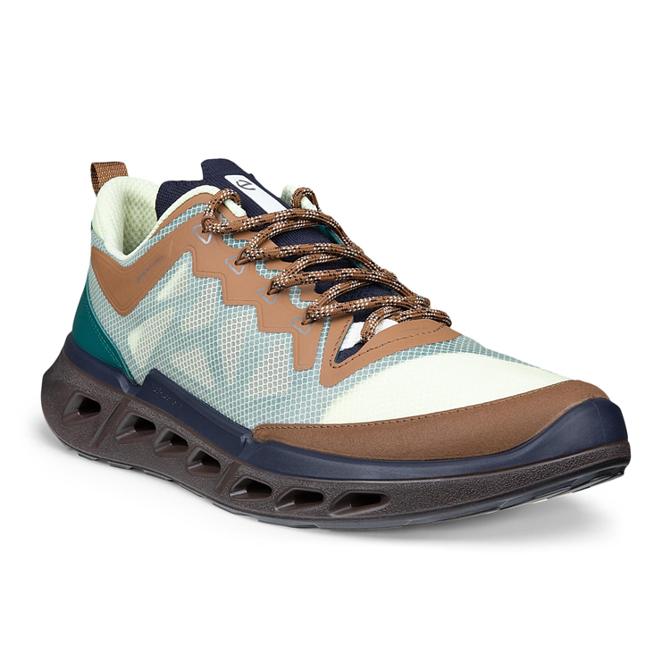 Кроссовки BIOM 720 M