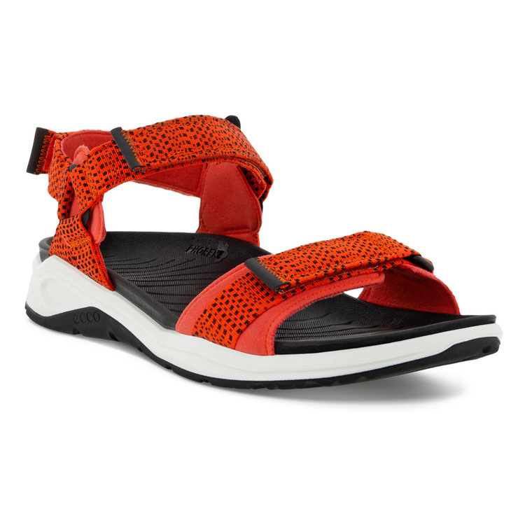 Сандалии ECCO X-TRINSIC M 880704/57011