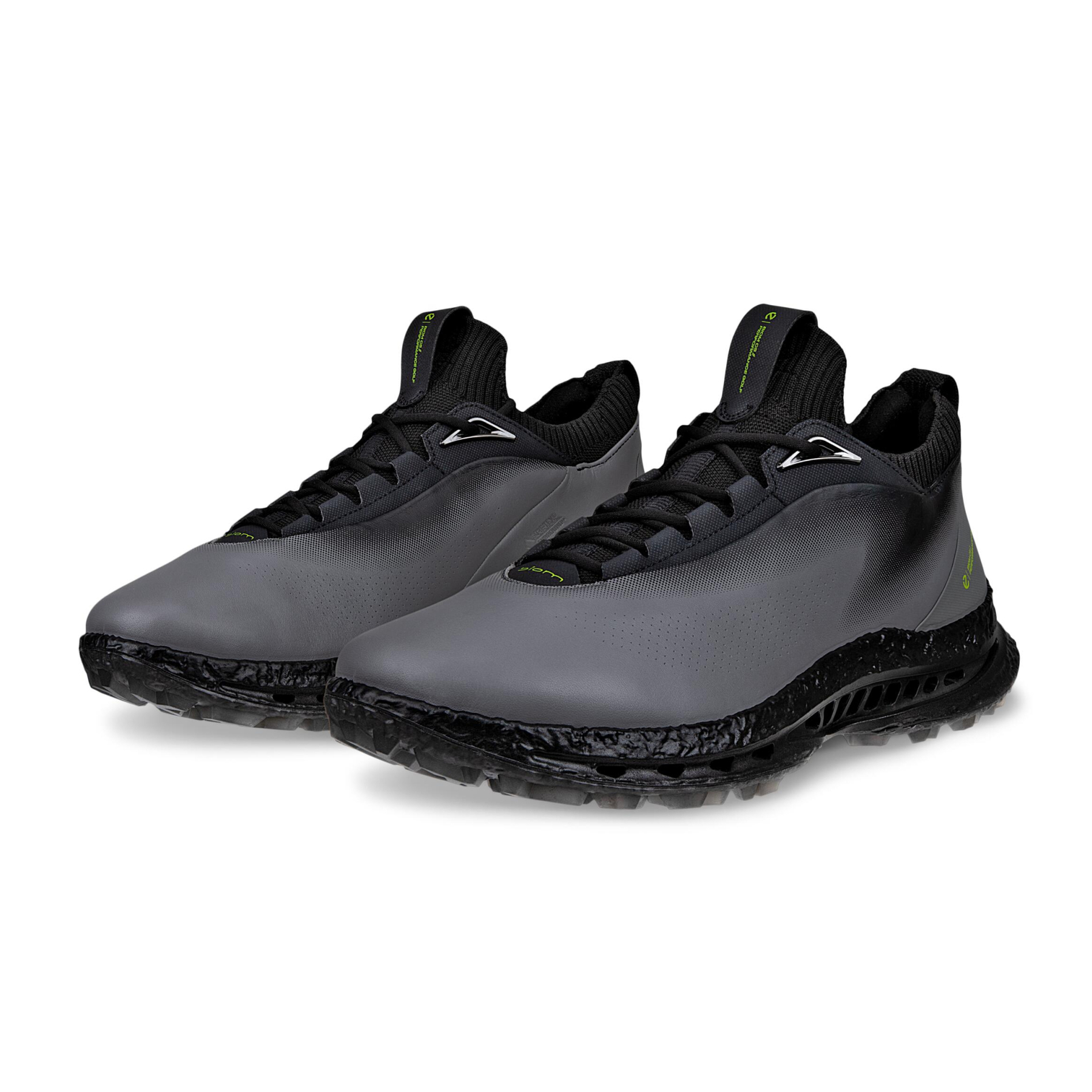 Кроссовки ECCO M GOLF BIOM C5 132604/50843