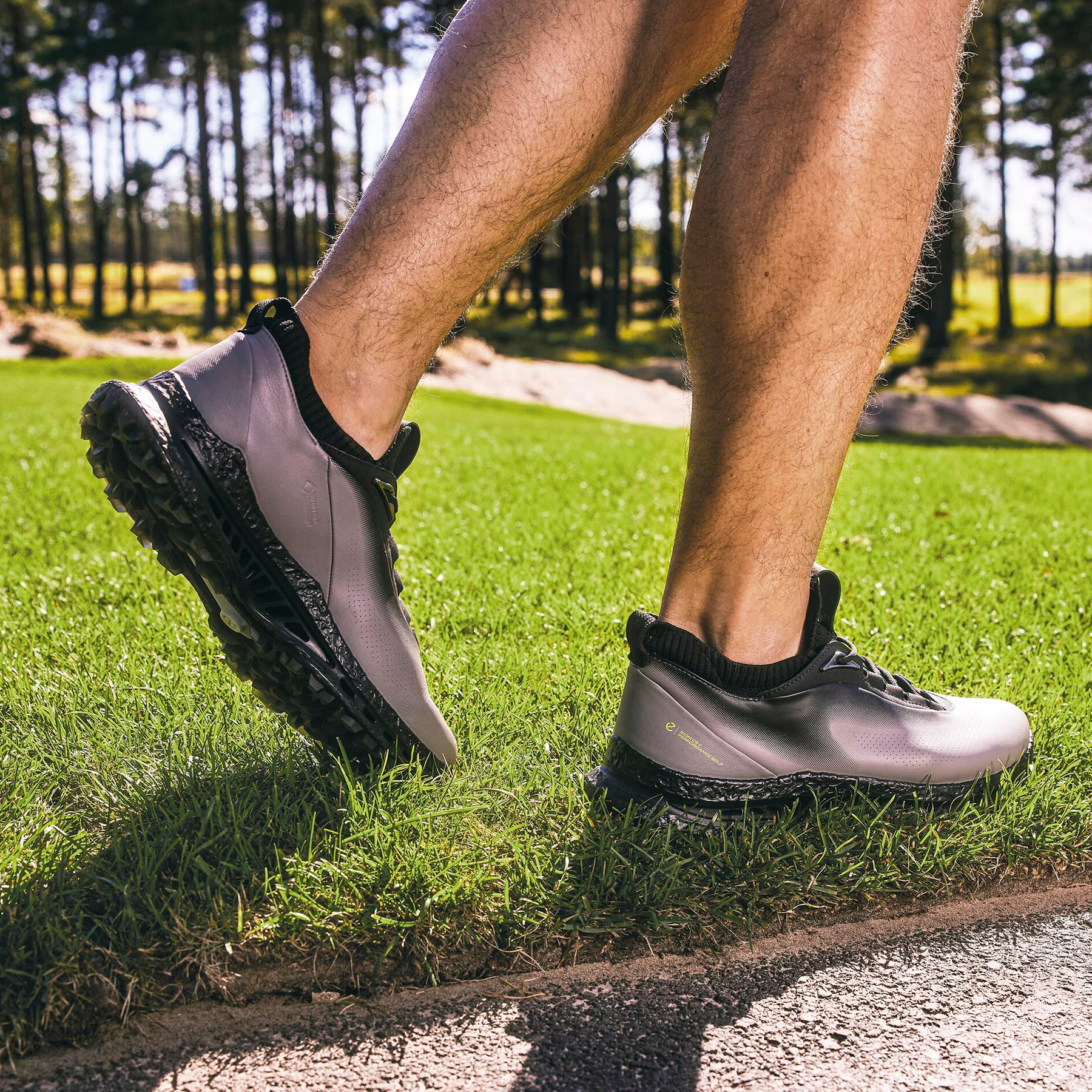 Кроссовки ECCO M GOLF BIOM C5 132604/50843