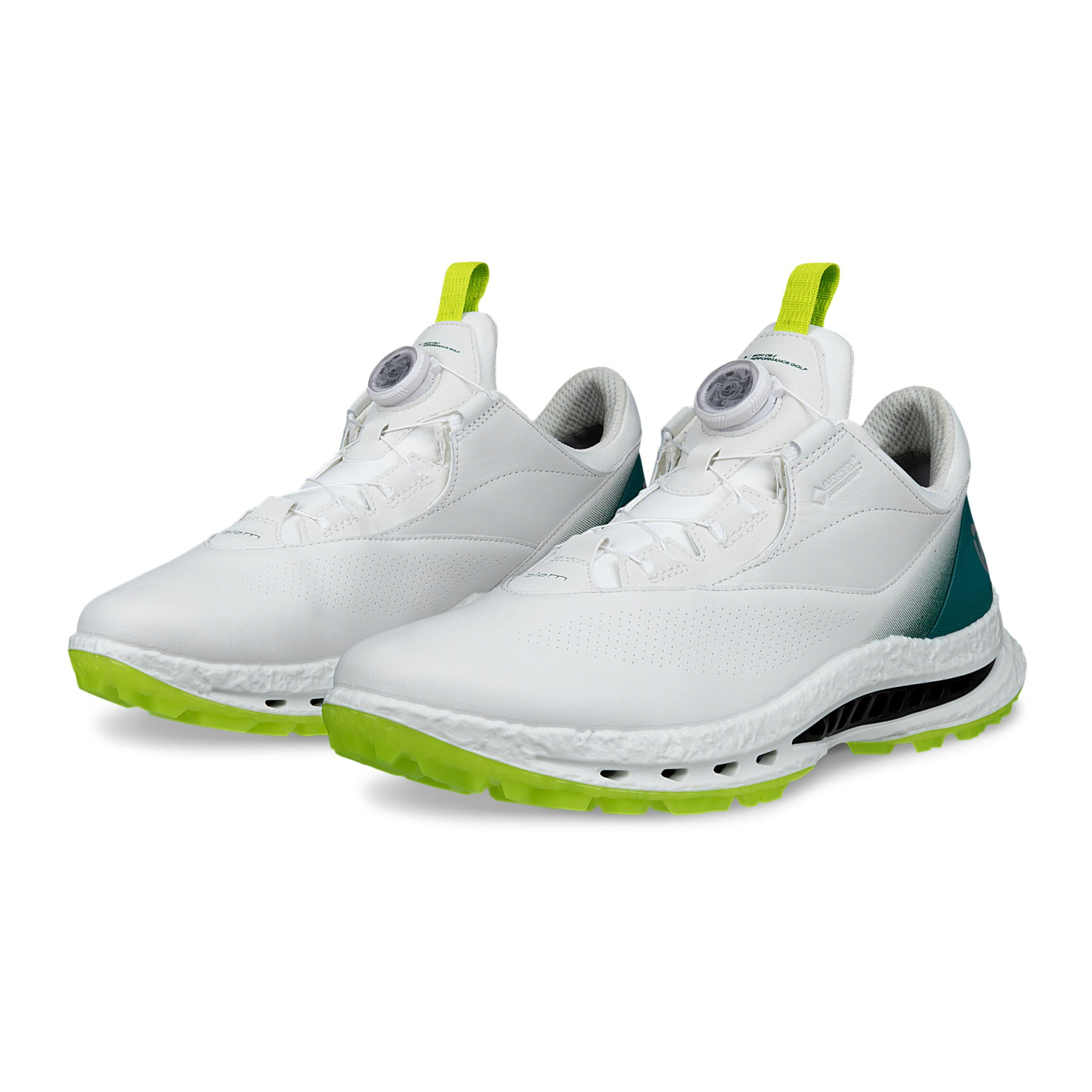 Кроссовки ECCO M GOLF BIOM C5 132614/61475