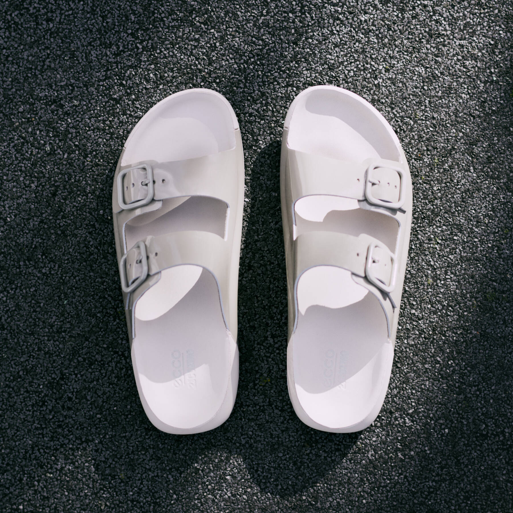 Шлепанцы ECCO COZMO W 206833/01023