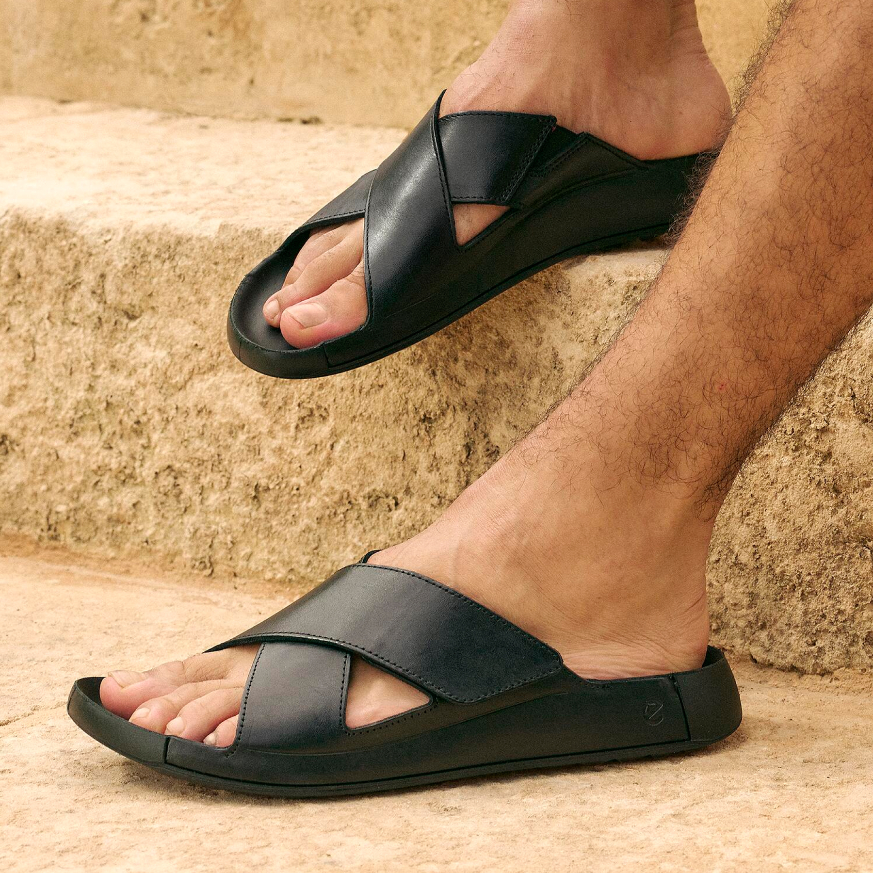 Шлепанцы ECCO COZMO M 500994/01001