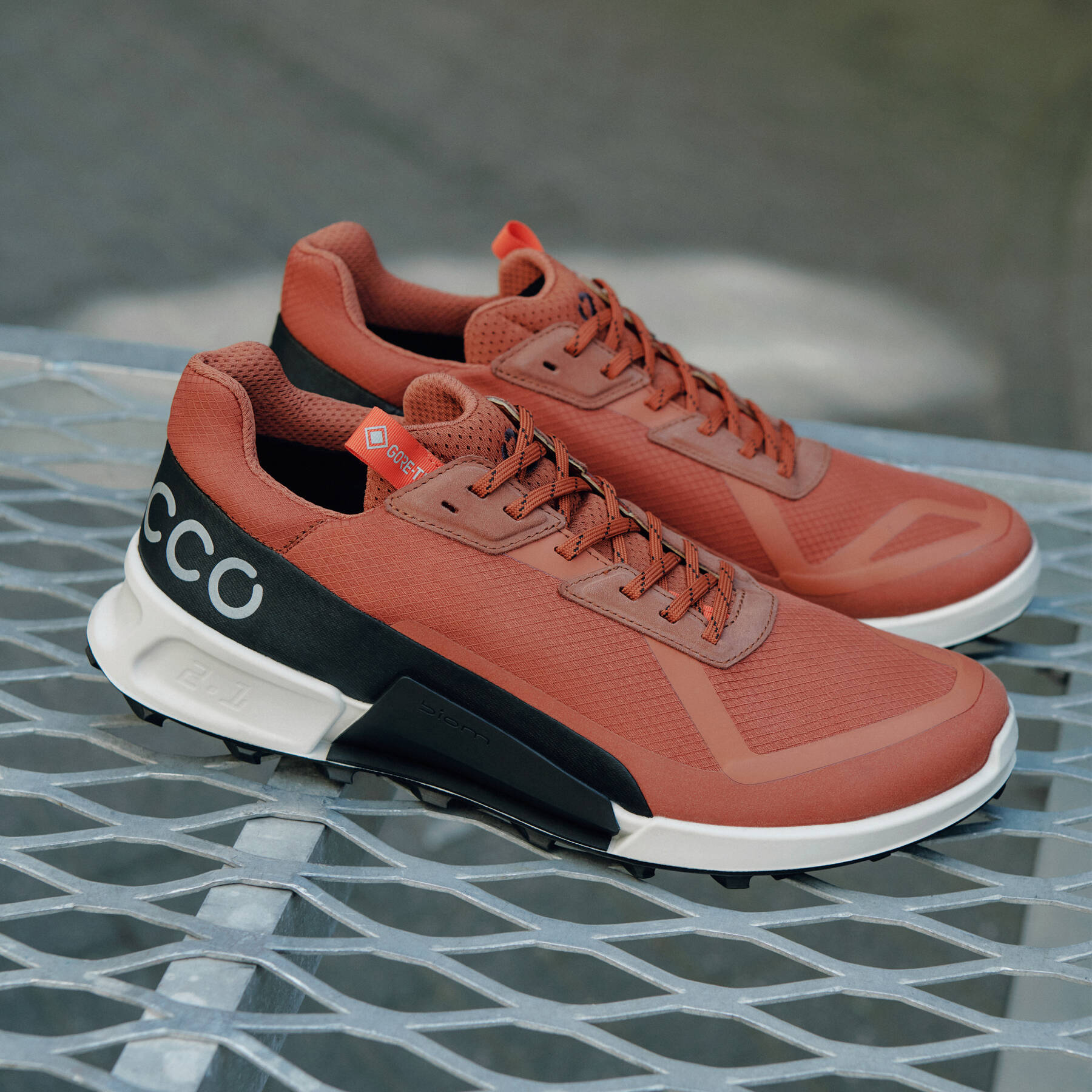 Кроссовки ECCO BIOM 2.1 X COUNTRY M 822834/50584