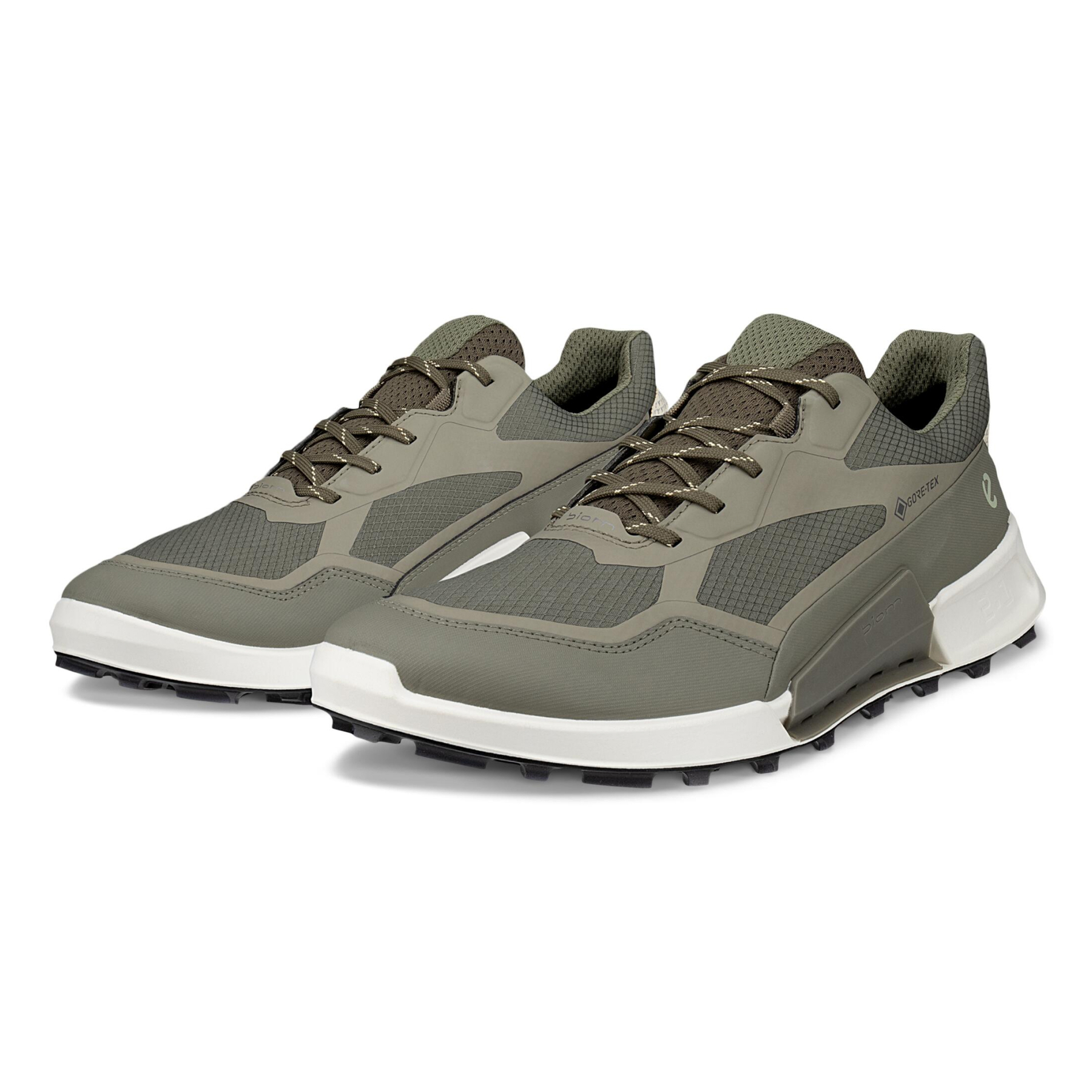 Кроссовки ECCO BIOM 2.1 X MOUNTAIN M 823924/61480