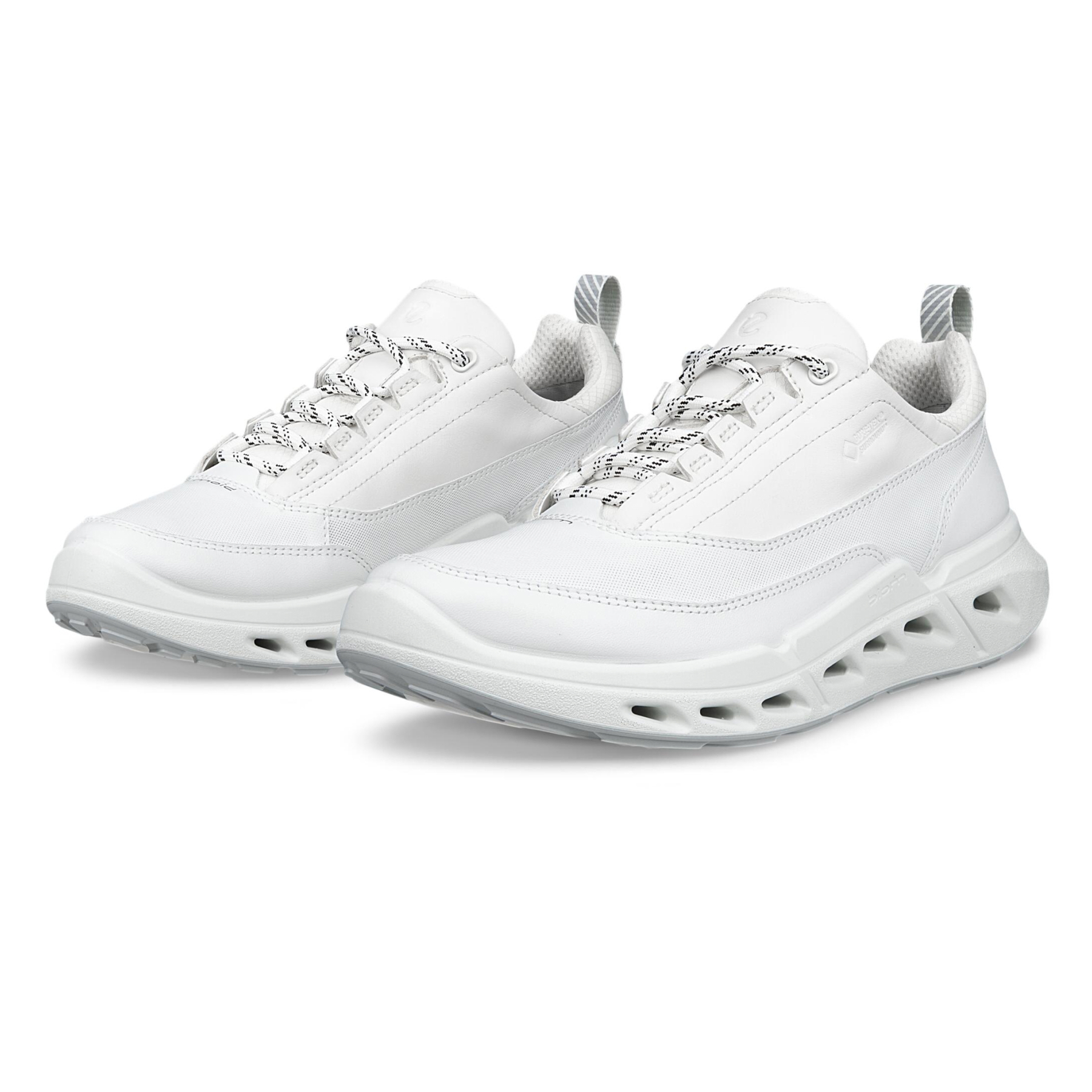 Кроссовки ECCO BIOM 720 W 850303/57019