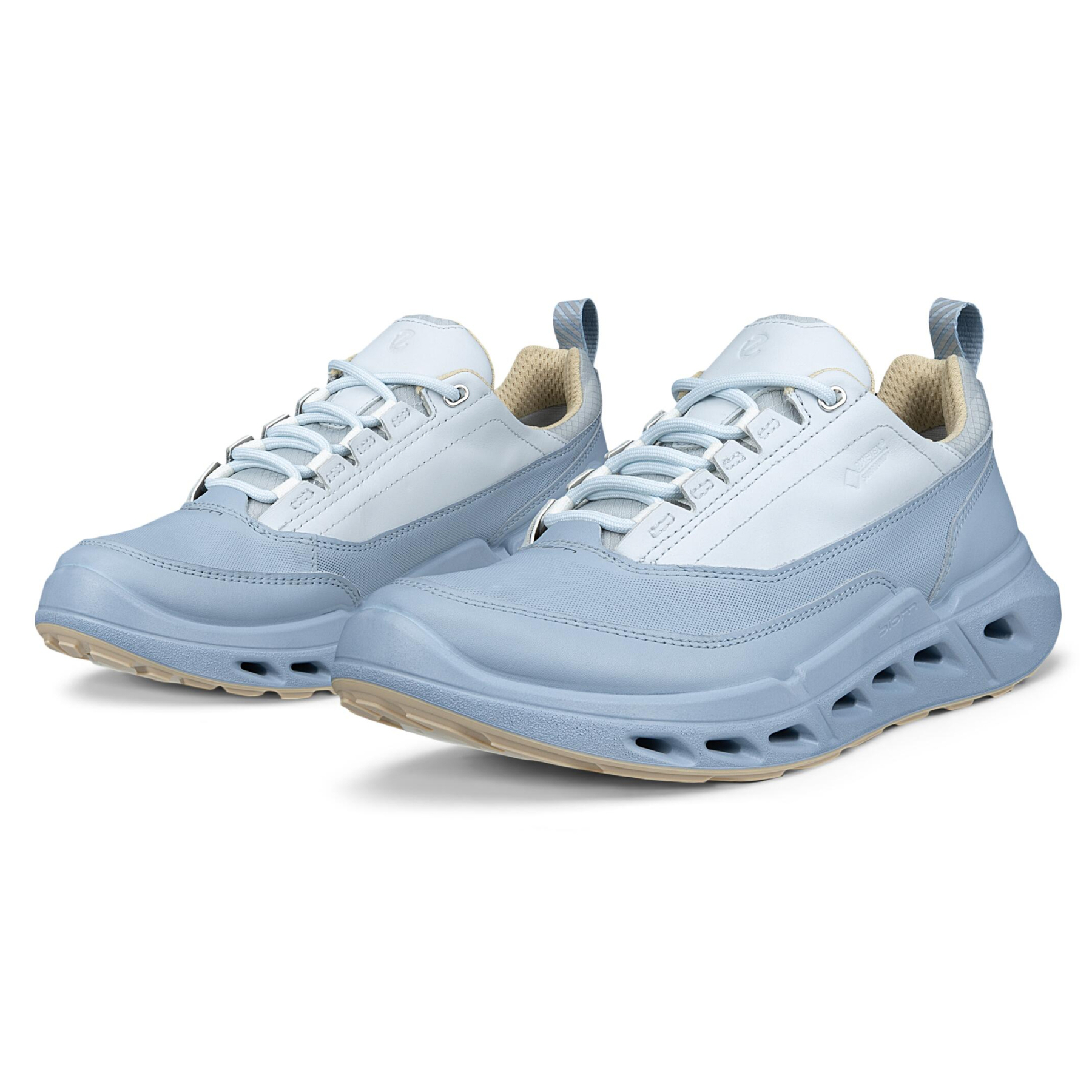 Кроссовки ECCO BIOM 720 W 850303/61641