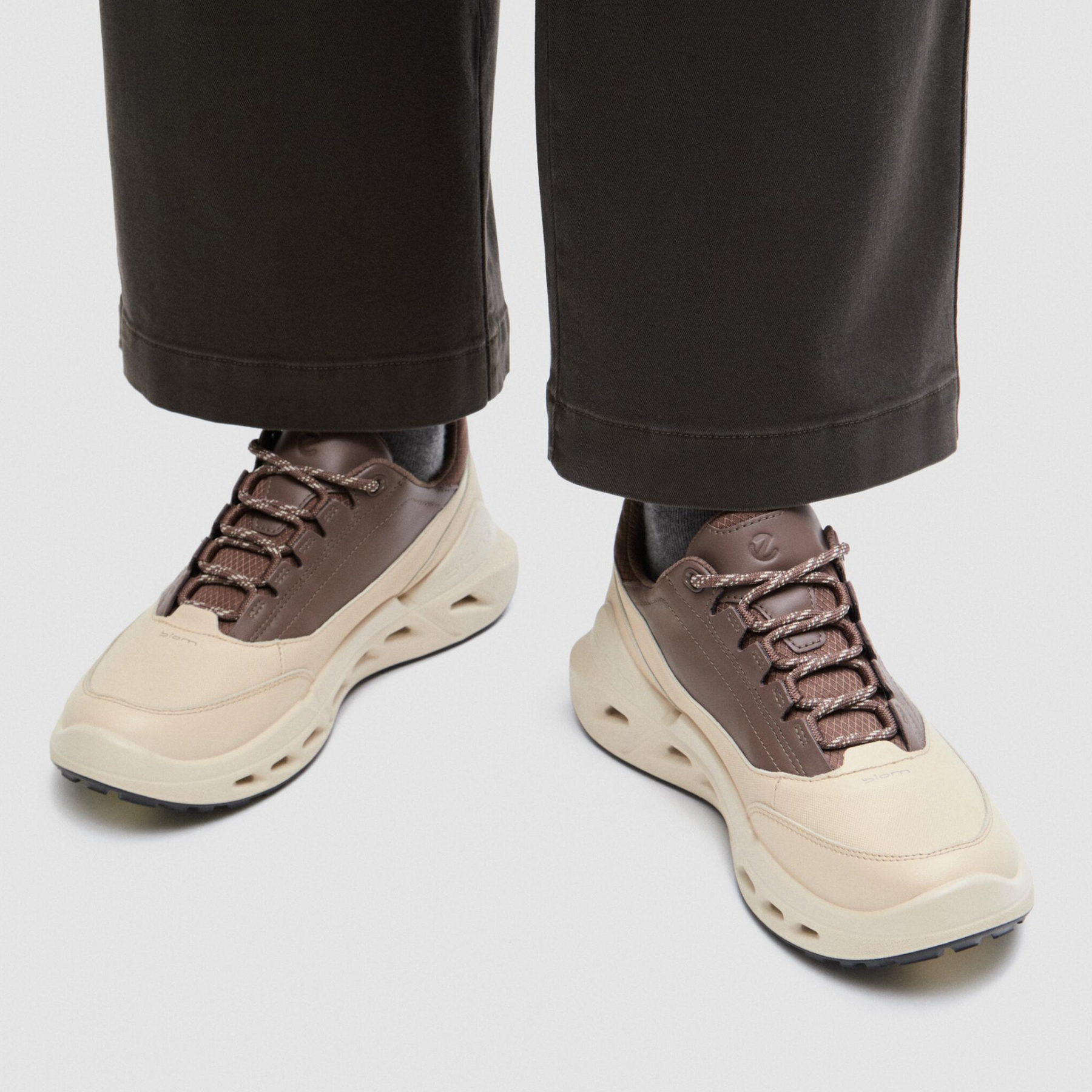 Кроссовки ECCO BIOM 720 W 850303/61956