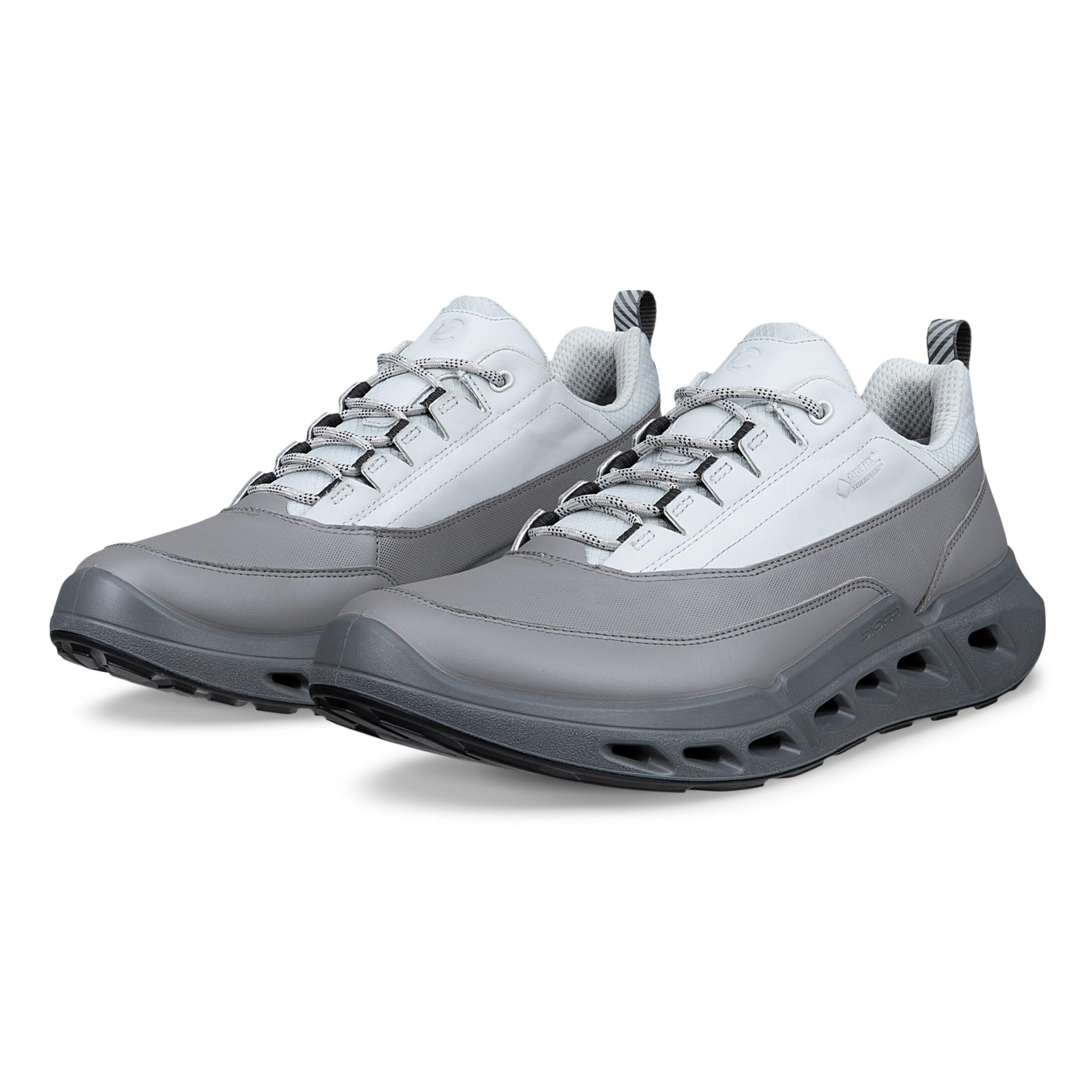 Кроссовки ECCO BIOM 720 M 850304/60512