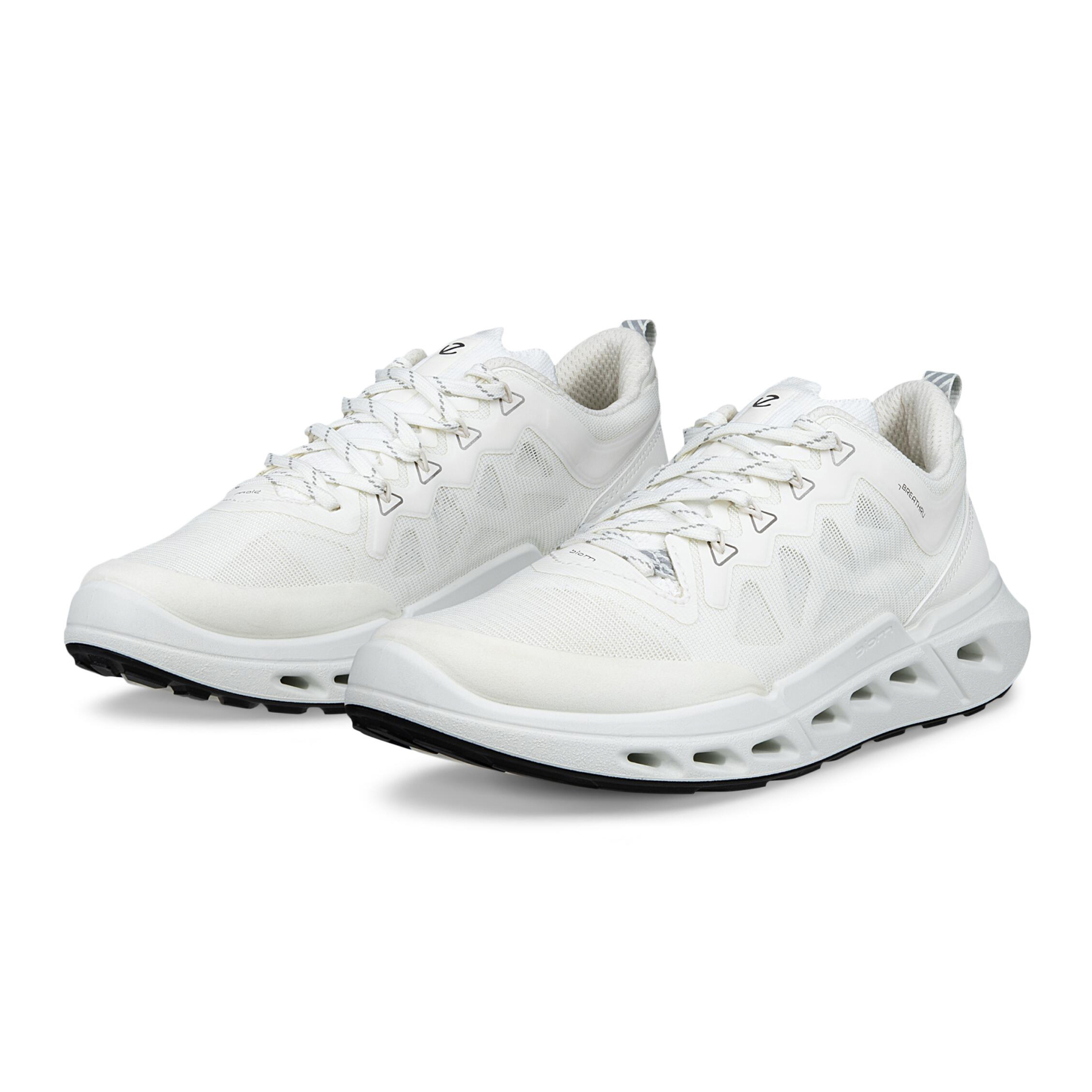 Кроссовки ECCO BIOM 720 W 850313/51969