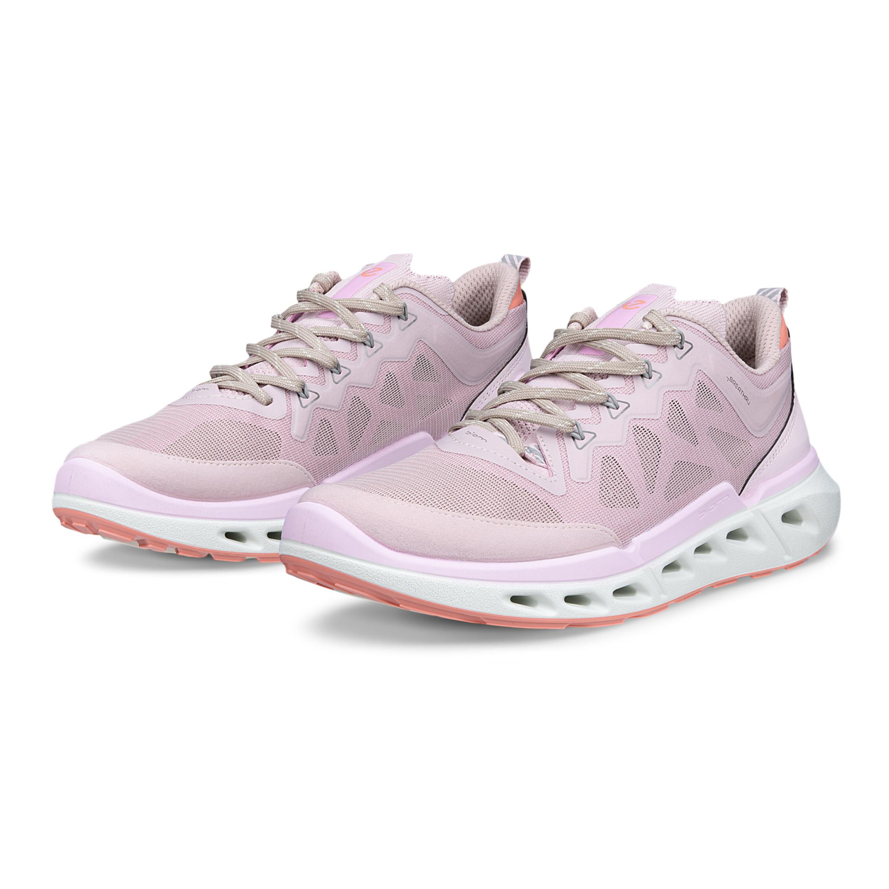 Кроссовки ECCO BIOM 720 W 850313/61643